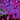 Neon Web #3
